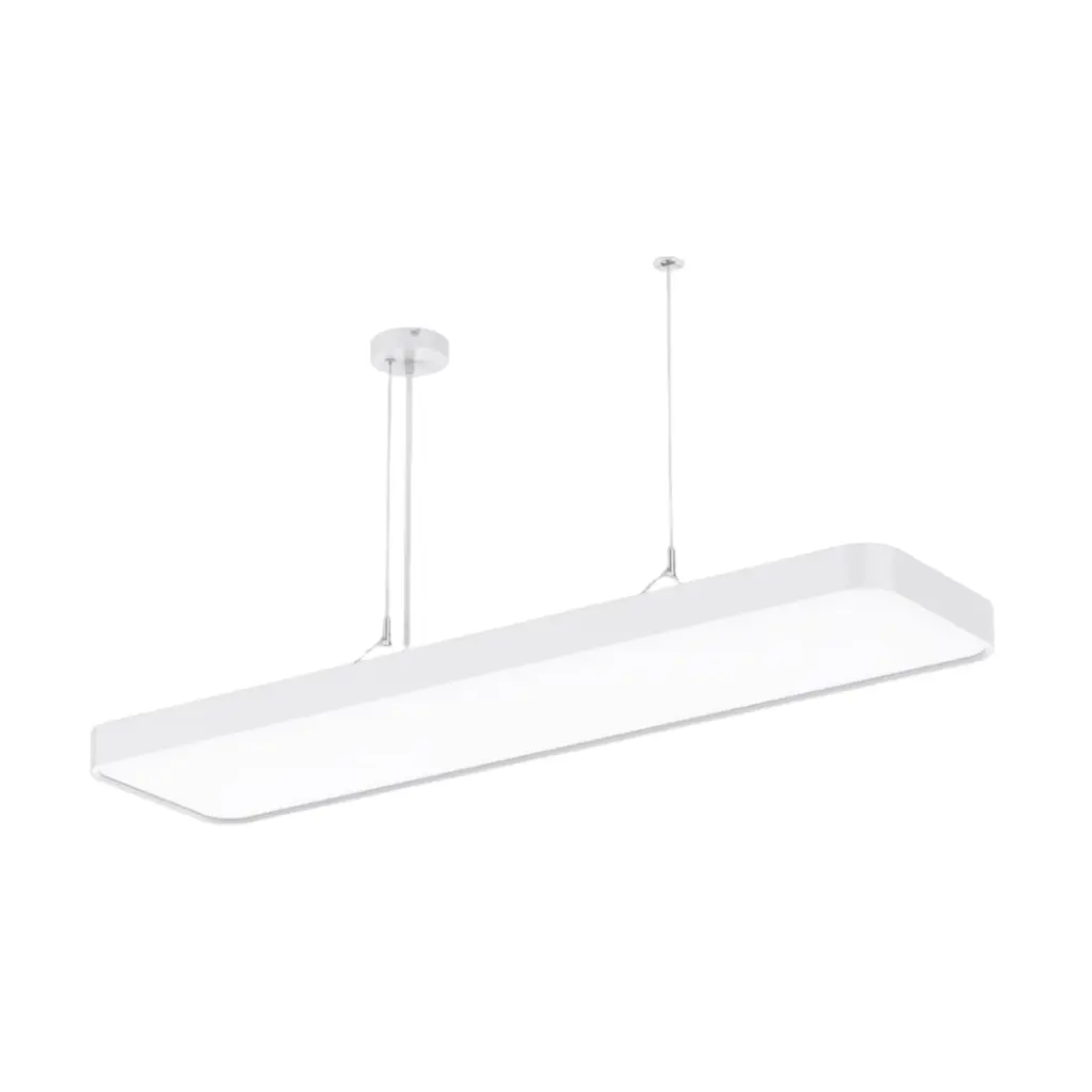 FOCUS suspension vue d'ensemble.webp