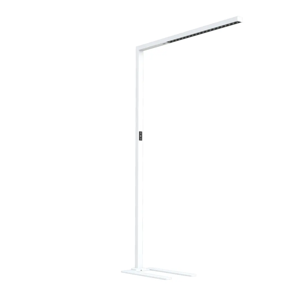 Infini Simple