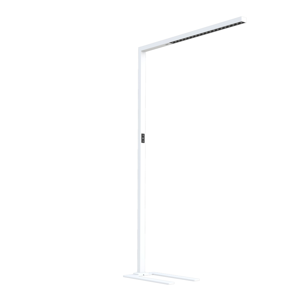 Infini Simple