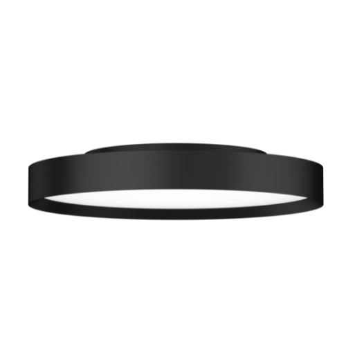 Jupiter  Curve